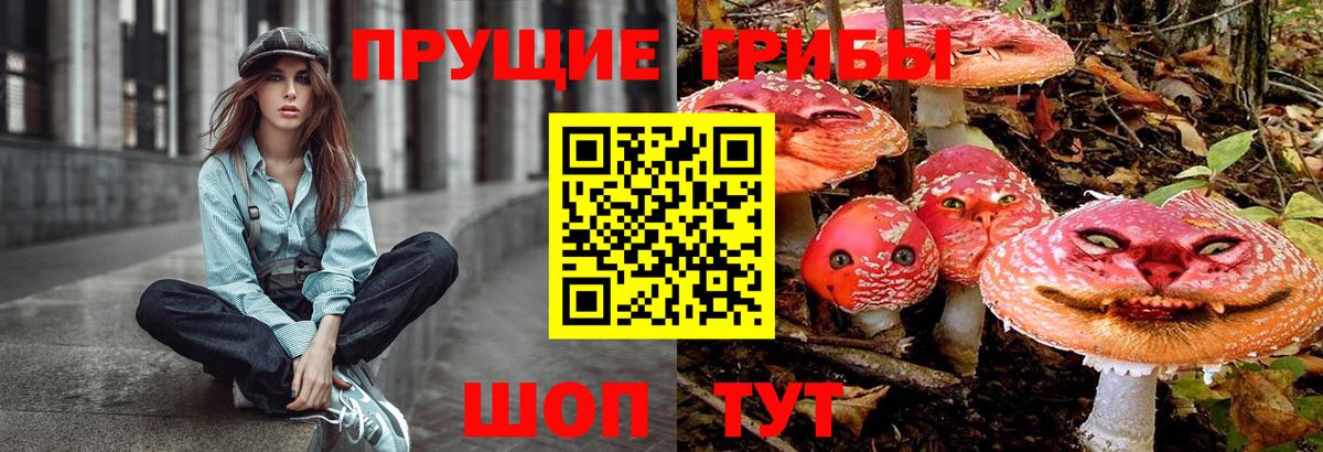 Псилоцибиновые грибы мухоморы  магазин продажи   Вход с VPN  Богородск  Псилоцибиновые грибы прущие грибы 