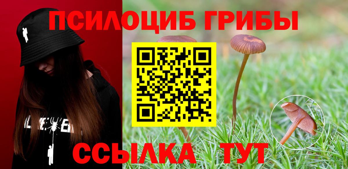 Псилоцибиновые грибы GOLDEN TEACHER Богородск
